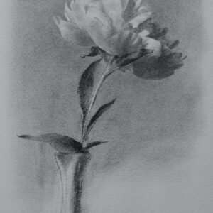 Original Charcoal Drawing of Peony